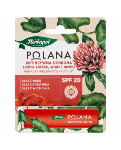 Herbapol Polana Pomadka pielęgnacyjna do ust INTENSYWNA OCHRONA SPF 20, 4.7 g zdjęcie