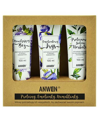 Anwen Zestaw odżywek do włosów o średniej porowatości Nawilżający Bez - 100 ml + Emolientowy Irys - 100 ml + Proteinowa Zielona Herbata - 100 ml - cena, opinie, skład zdjęcie