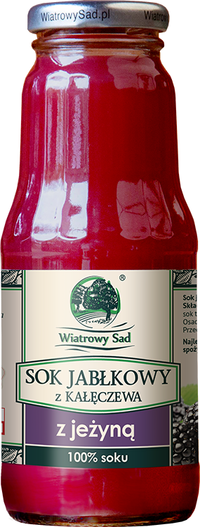 Wiatrowy Sad, Sok jabłkowy z jeżyną, 300 ml zdjęcie