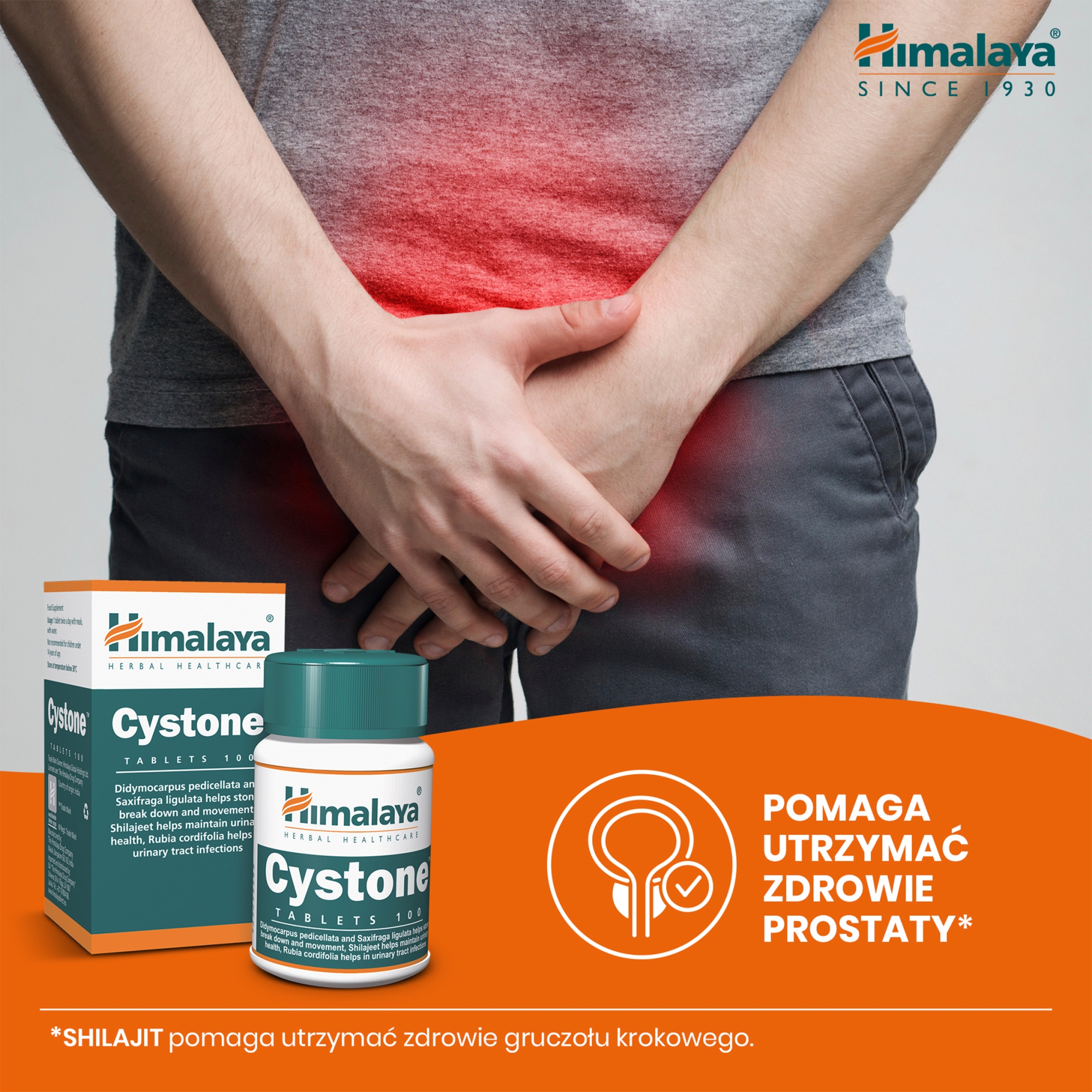 Himalaya Cystone na kamienie nerkowe 100 tabletek