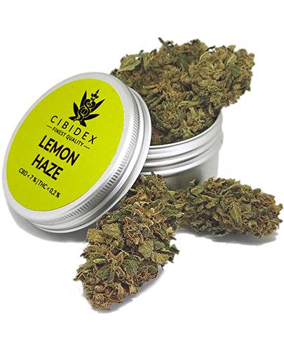 Cibidex Susz konopny CBD Lemon haze - 2 g - cena, opinie, stosowanie zdjęcie