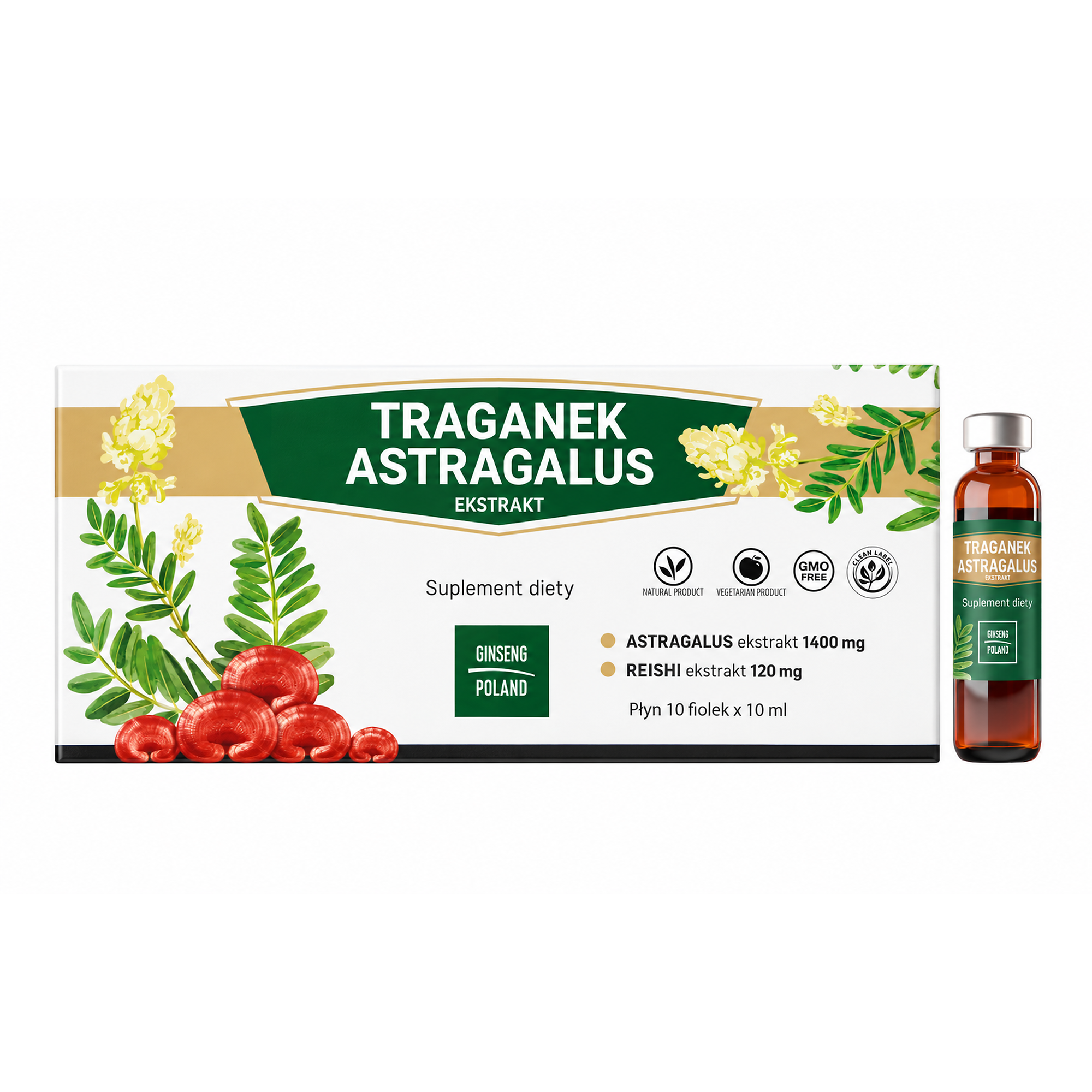 Traganek Astragalus ekstrakt, 10 ampułek po 10 ml zdjęcie