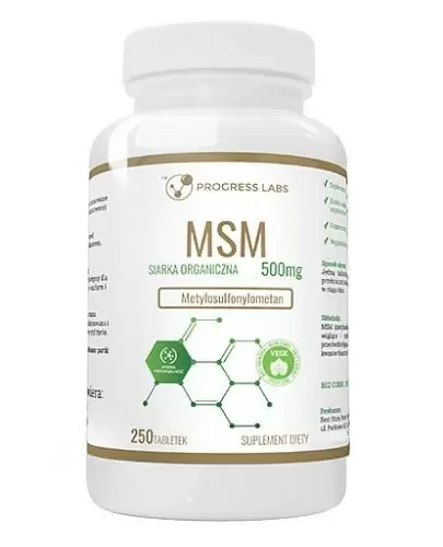 Progress Labs MSM Siarka Organiczna 500 mg 250 tabletek zdjęcie