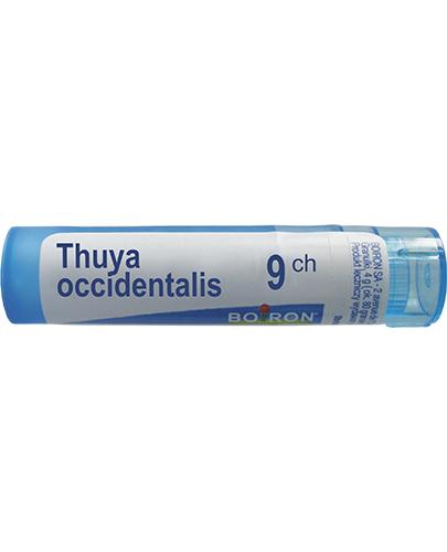 BOIRON Thuya occidentalis 9CH gran. - 4 g zdjęcie