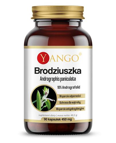 Yango Brodziuszka Andrographis paniculata, 90 kaps. cena, opinie, właściwości zdjęcie