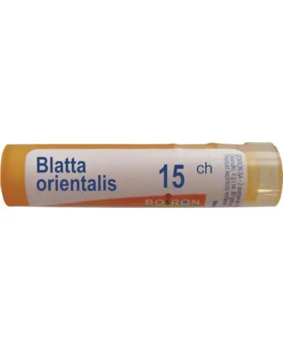 Boiron, Blatta Orientalis 15 CH, granulki, 4 g. zdjęcie