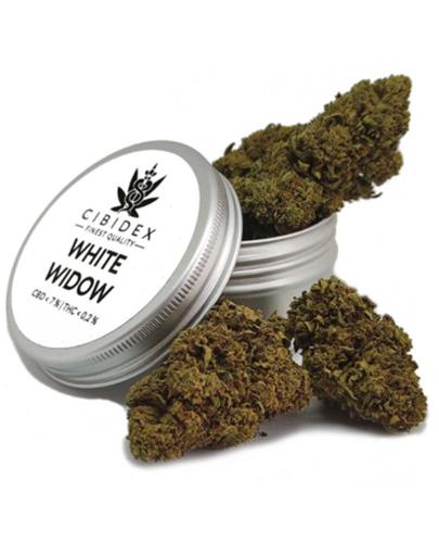Cibidex Susz konopny CBD White widow - 2 g - cena, opinie, właściwości zdjęcie