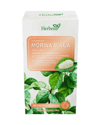 Herbene Morwa Biała, 30 sztuk zdjęcie