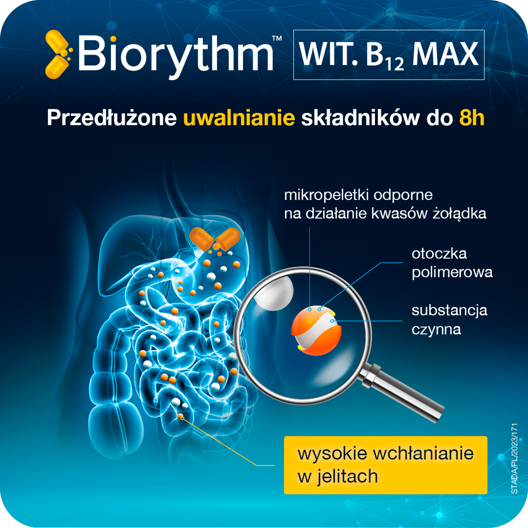 Biorythm Witamina B12 Max 30 kapsułek