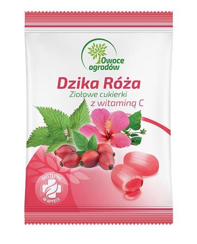 Owoce Ogrodów Dzika róża ziołowe cukierki z witaminą C 60 g zdjęcie