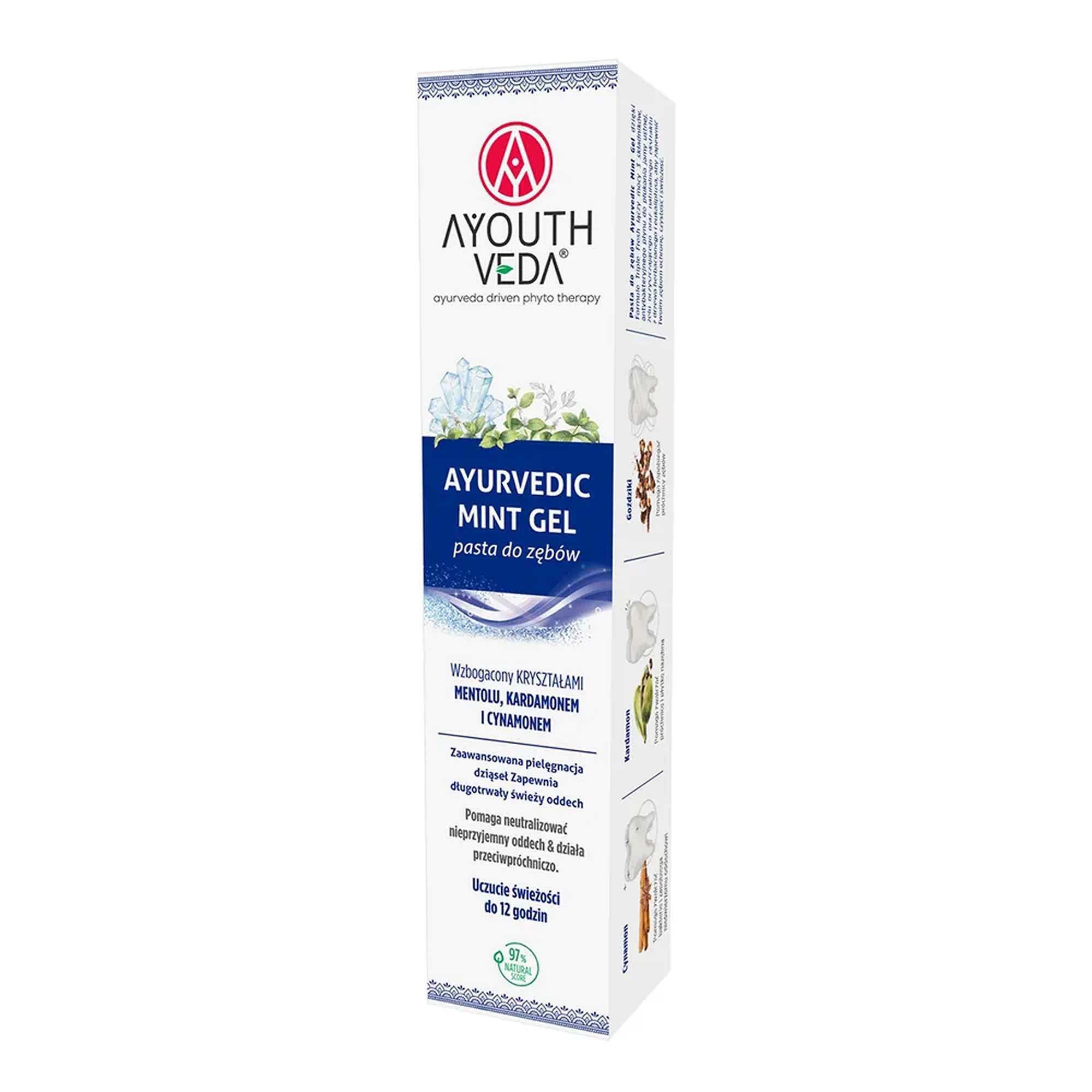 Ayurvedic Mint Gel Pasta do zębów, 100 g zdjęcie