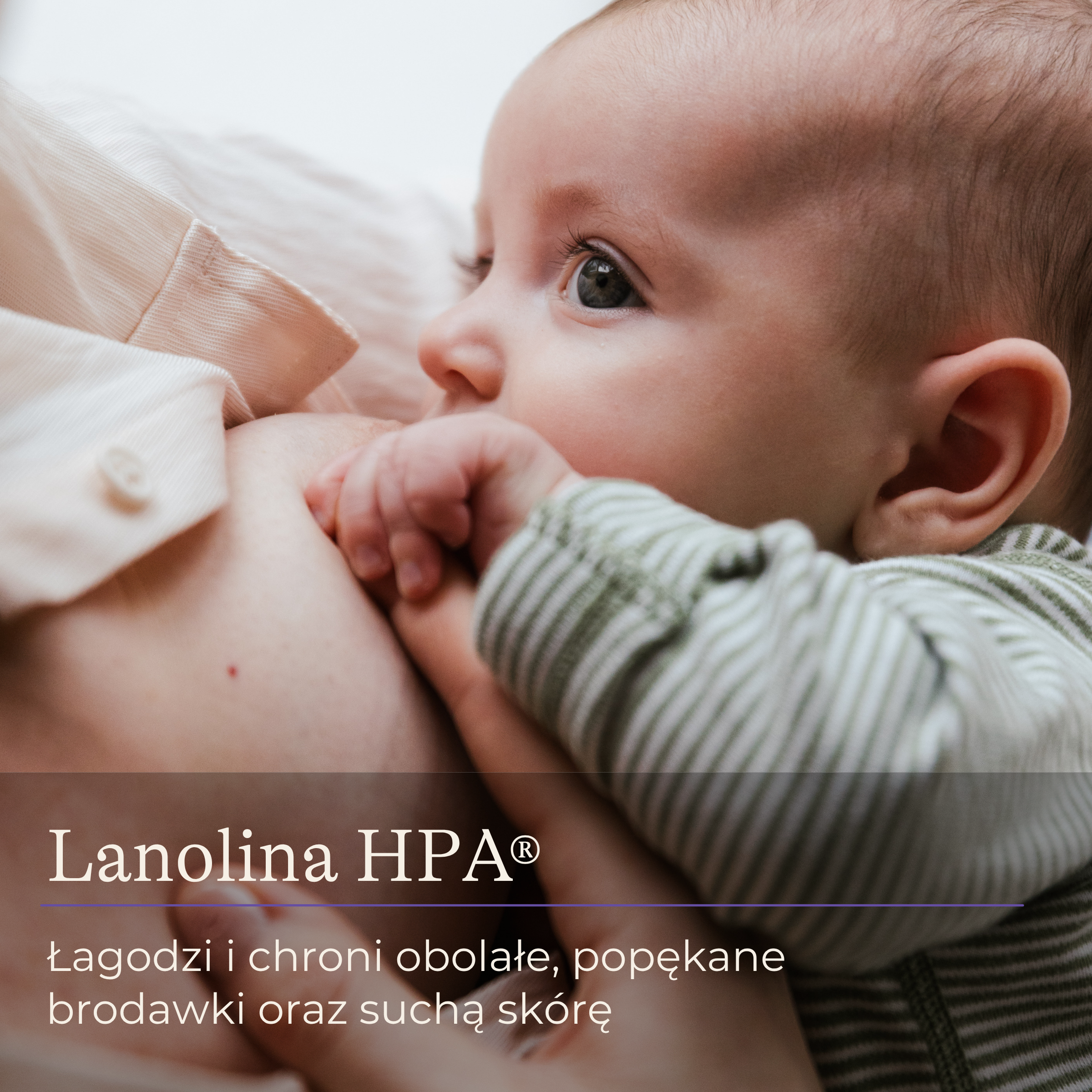 Lansinoh Lanolina HPA krem hypoalergiczny 40 ml