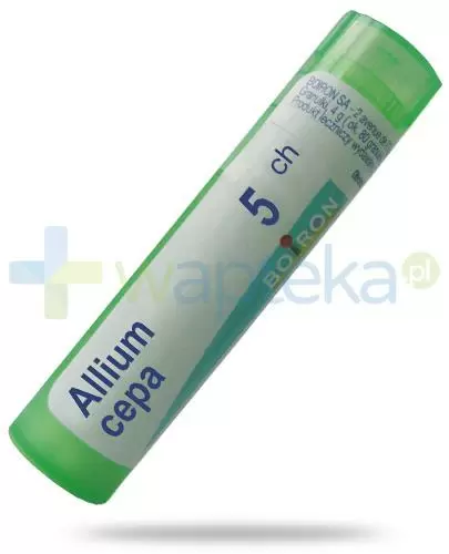Boiron Allium cepa 5 CH, granulki 4 g zdjęcie