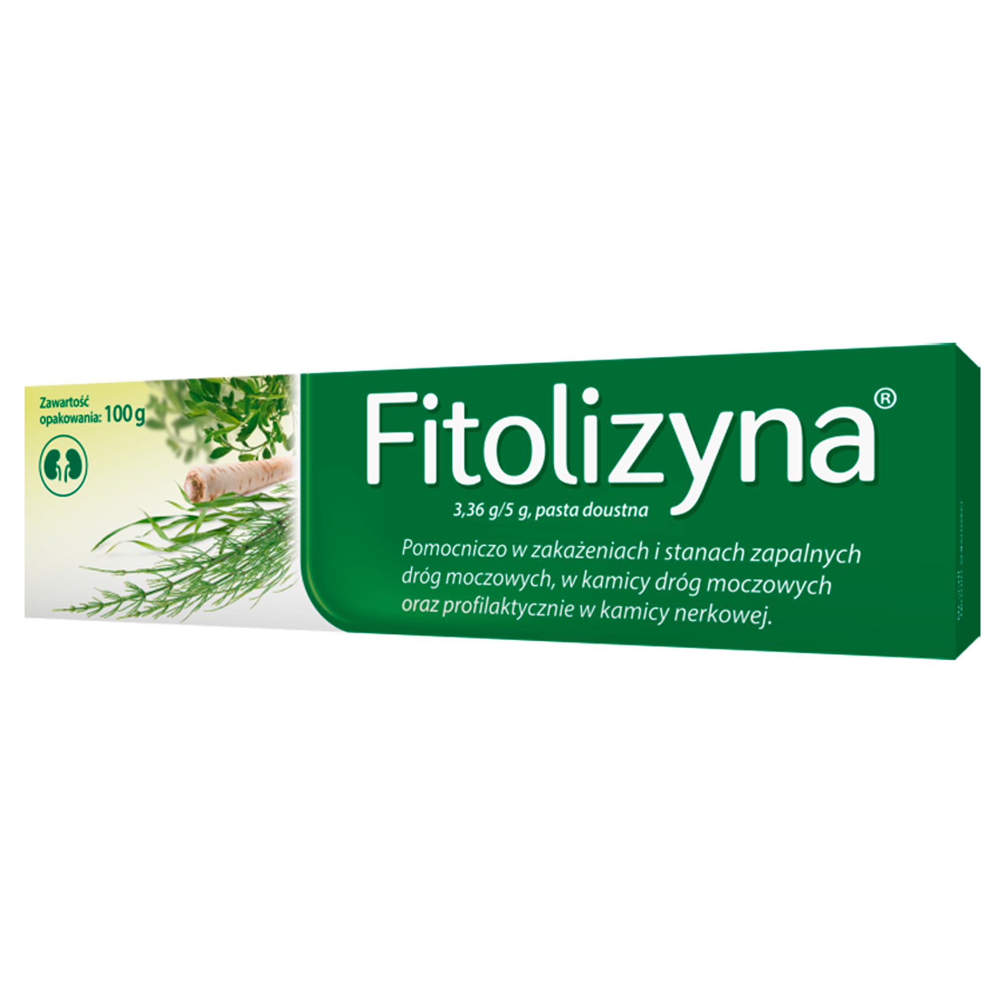 Fitolizyna 3,36 g/5g, pasta doustna 100 g zdjęcie