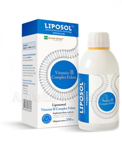 LIPOSOL Vitamin B Complex folate - 250 ml zdjęcie