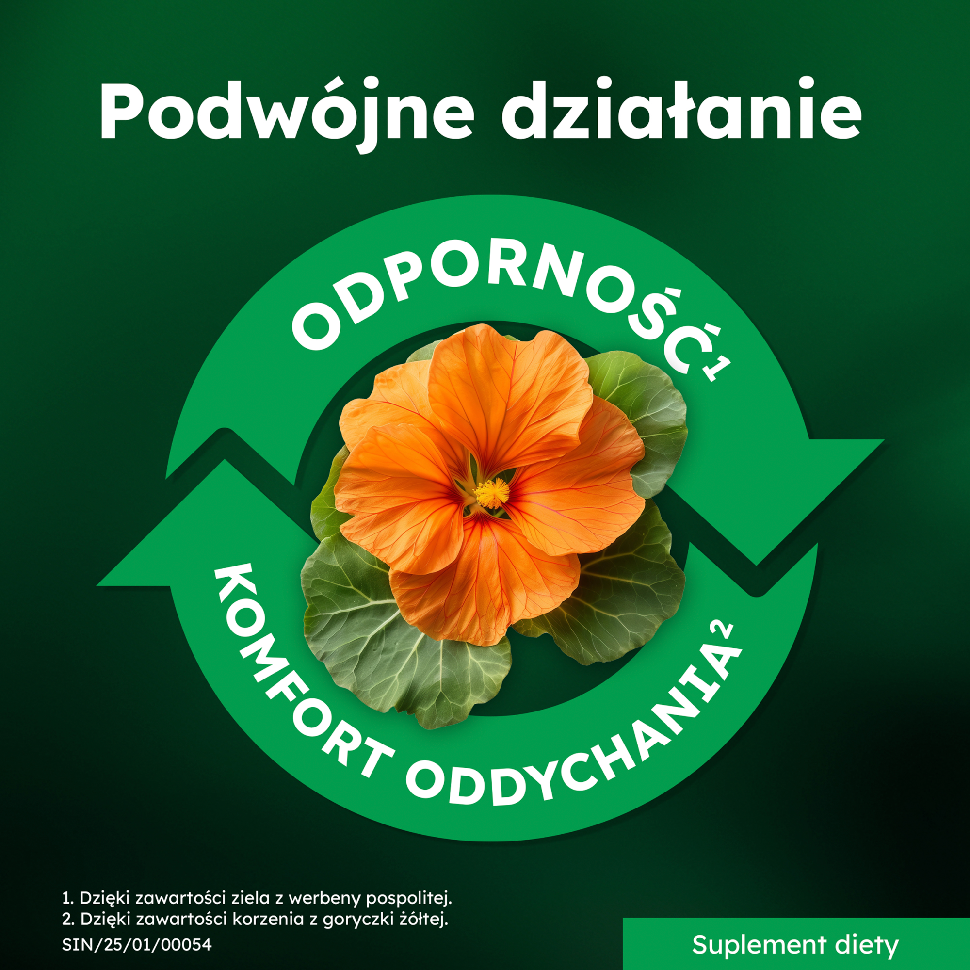 Sinulan Duo Forte 60 tabletek