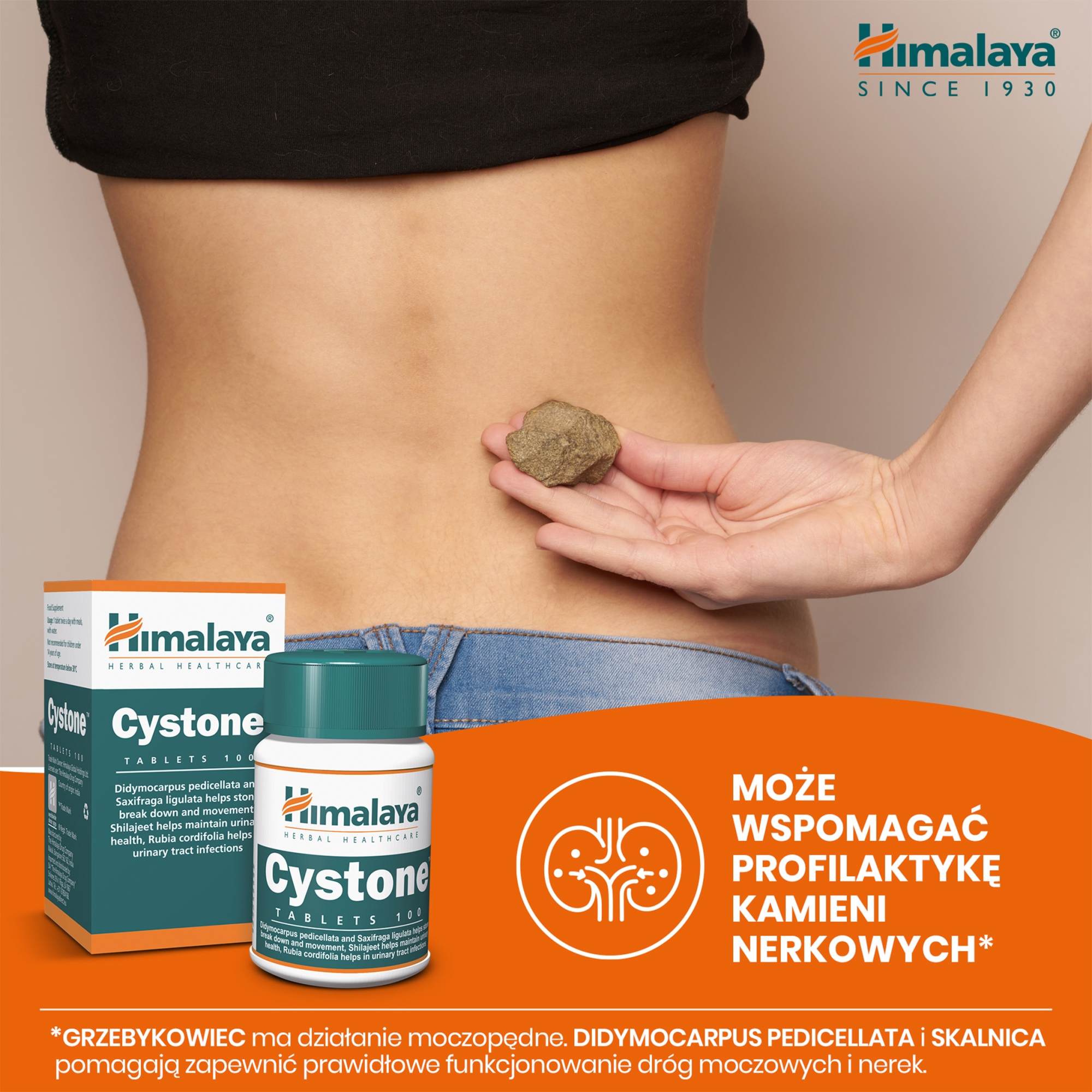 Himalaya Cystone na kamienie nerkowe 100 tabletek
