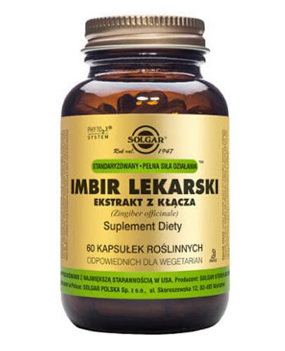 SOLGAR IMBIR LEKARSKI, 60 kaps. cena, opinie, skład zdjęcie