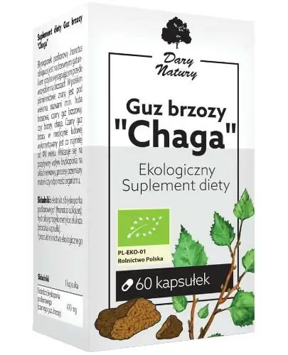Dary Natury Guz brzozy Chaga 60 kapsułek  zdjęcie