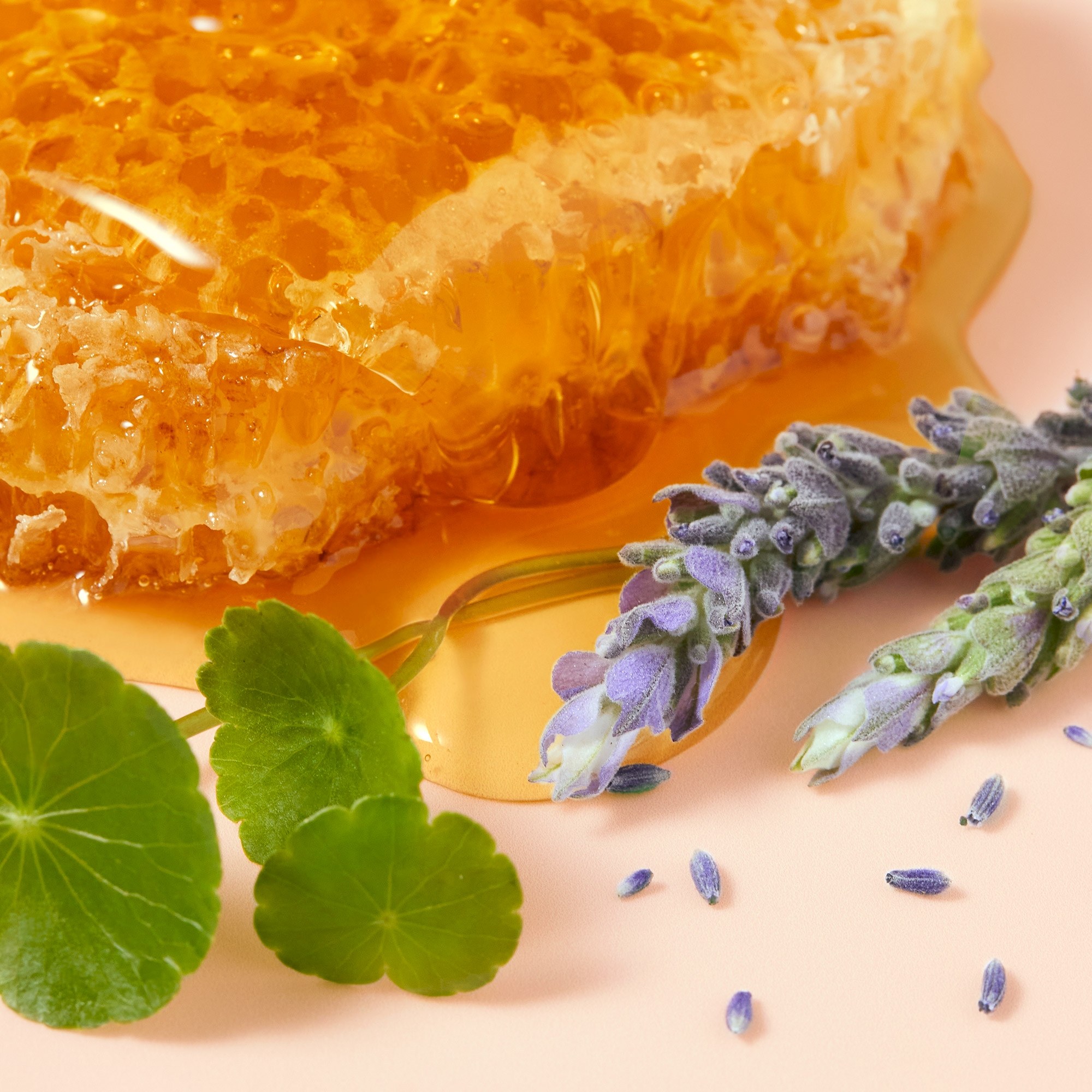 Nuxe Reve de Miel Cica, zestaw krem naprawczy do rąk, 2 x 50 ml