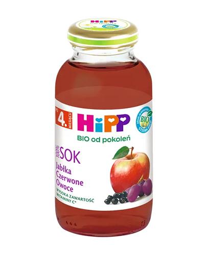 HIPP BIO od pokoleń Jabłka-Czerwone owoce z wodą źródlaną BIO, 200 ml zdjęcie
