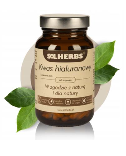 Solherbs Kwas hialuronowy, 60 kapsułek zdjęcie