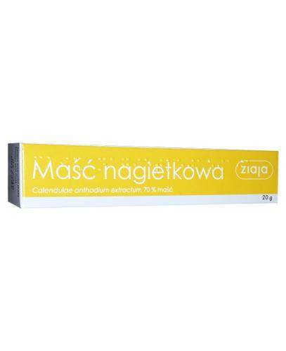 ZIAJA Maść nagietkowa - 20 g zdjęcie