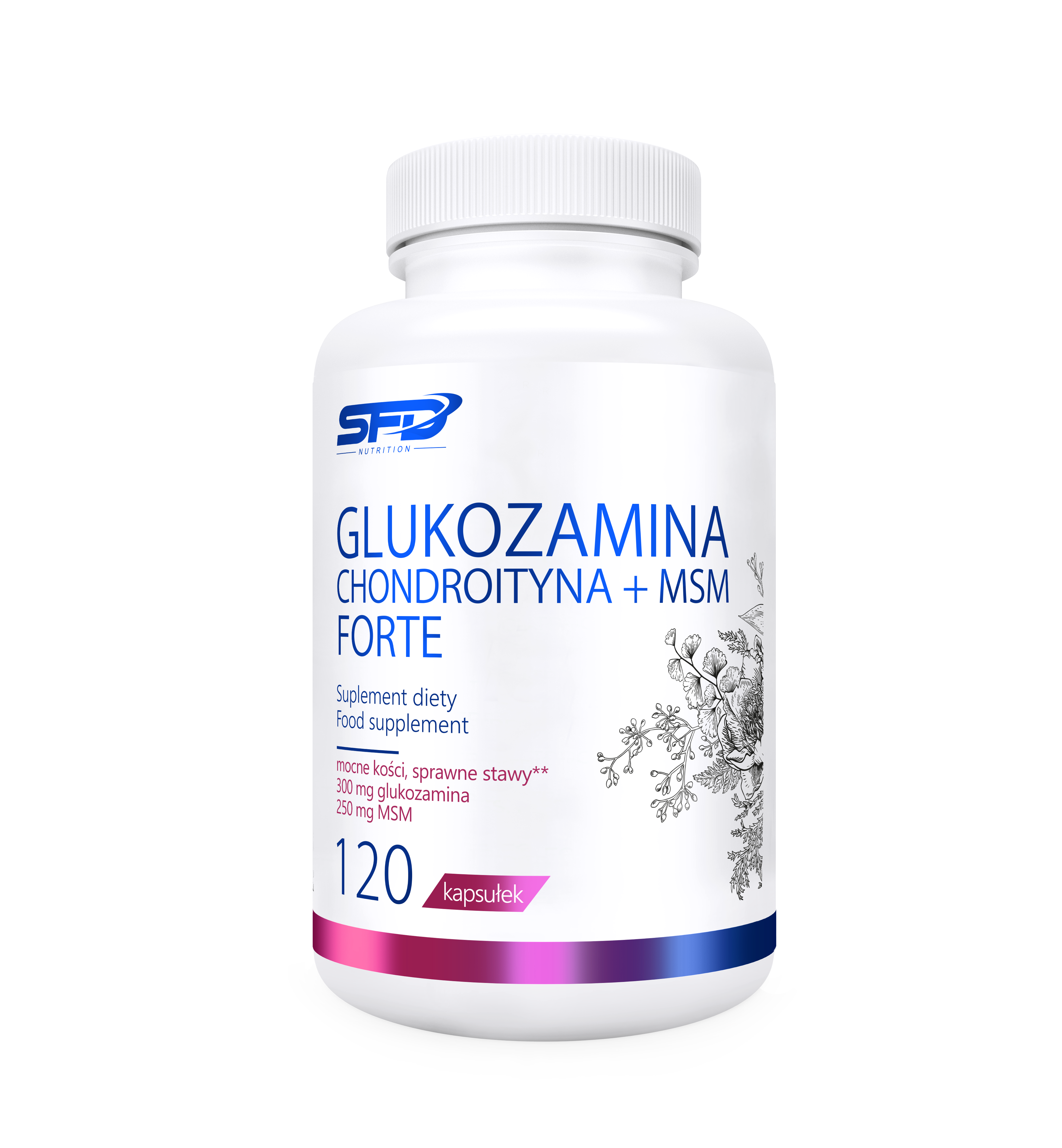 SFD Glukozamina Chondroityna Msm Forte, kapsułki, 120 sztuk