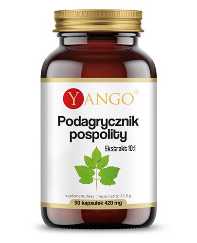 Yango Podagrycznik pospolity, 90 kaps. cena, opinie, właściwości zdjęcie