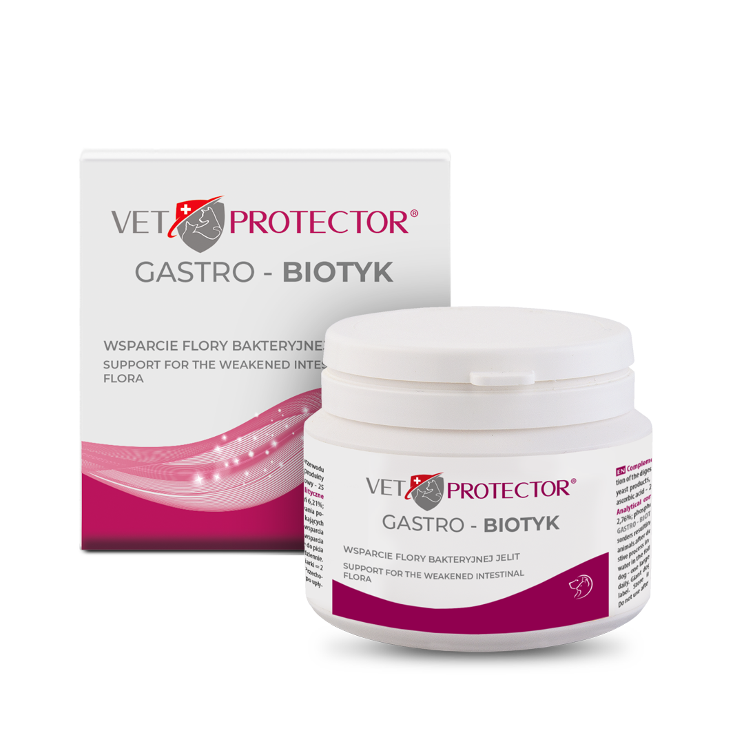 Vet Protector Gastro Biotyk Multibiotyk dla psa i kota, 60 g zdjęcie