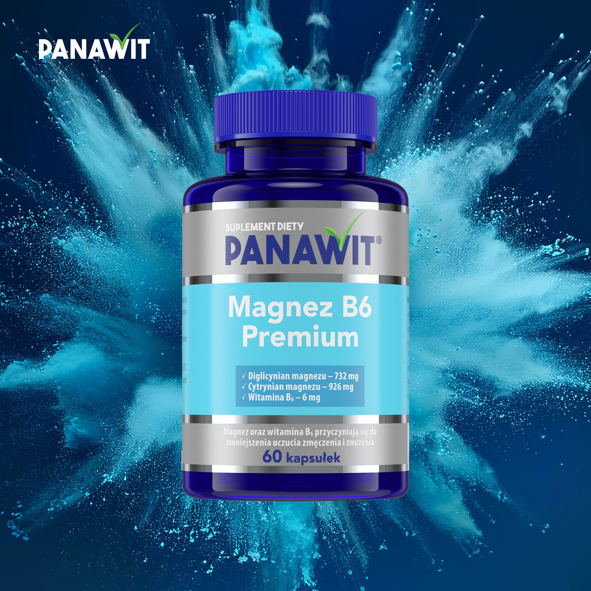 Panawit Magnez B6 Premium, kapsułki, 60 sztuk