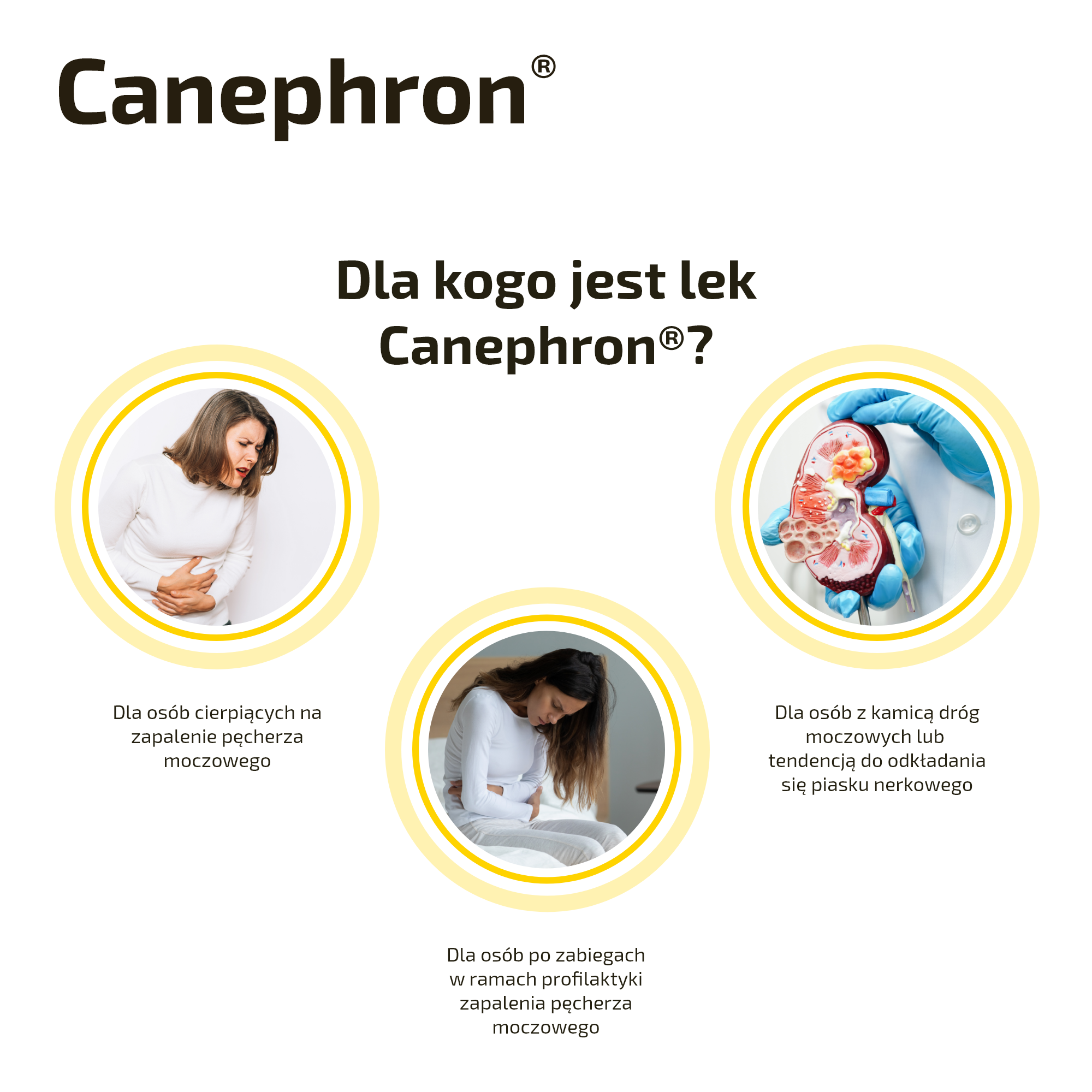 Canephron, tabletki drażowane, 60 sztuk
