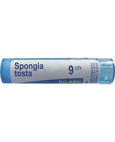 BOIRON Spongia Tosta 9 CH granulki - 4 g - cena, opinie, skład zdjęcie