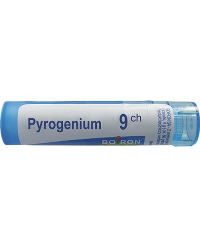 BOIRON Pyrogenium 9 CH granulki - 4 g - cena, opinie, skład zdjęcie
