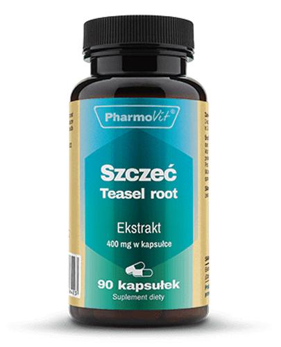 Pharmovit Szczeć Teasel root 4:1 400 mg - 90 kaps. Na ból i odporność - cena, opinie, stosowanie  zdjęcie