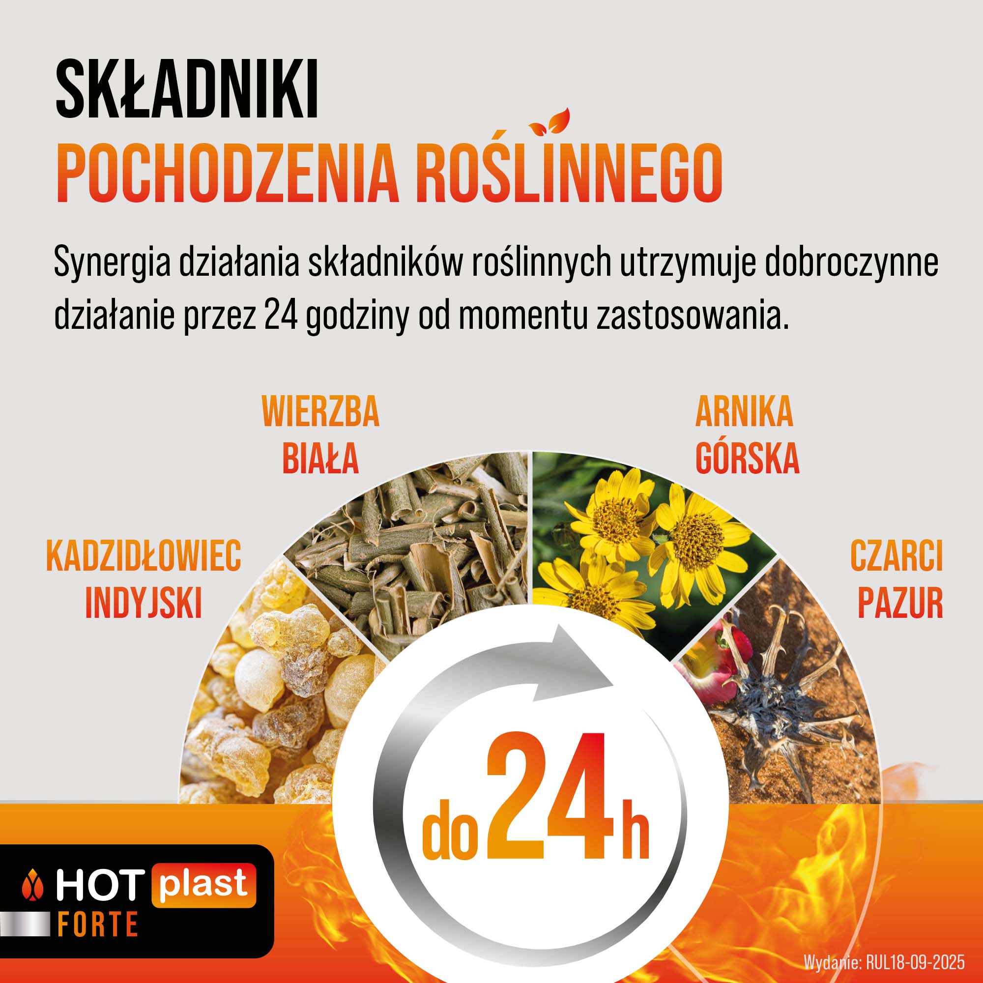 Hot plast Forte plaster rozgrzewający 9 x 14 cm 1 sztuka