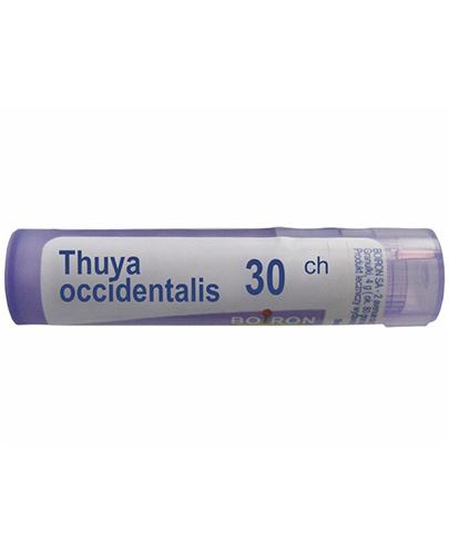 BOIRON Thuya occidentalis 30CH gran. - 4 g zdjęcie