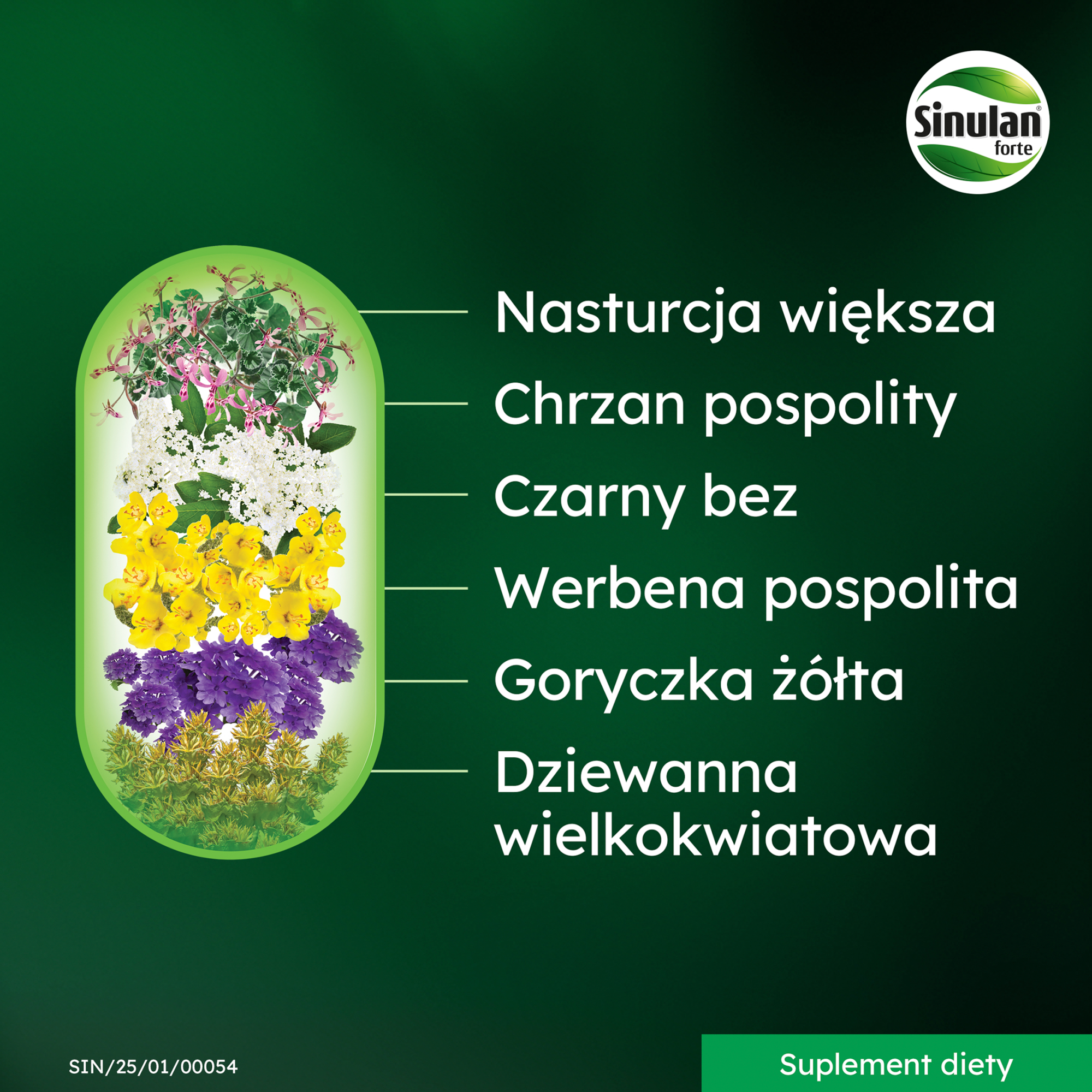 Sinulan Duo Forte 60 tabletek