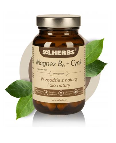 Solherbs Magnez B6 + Cynk, 60 kapsułek zdjęcie