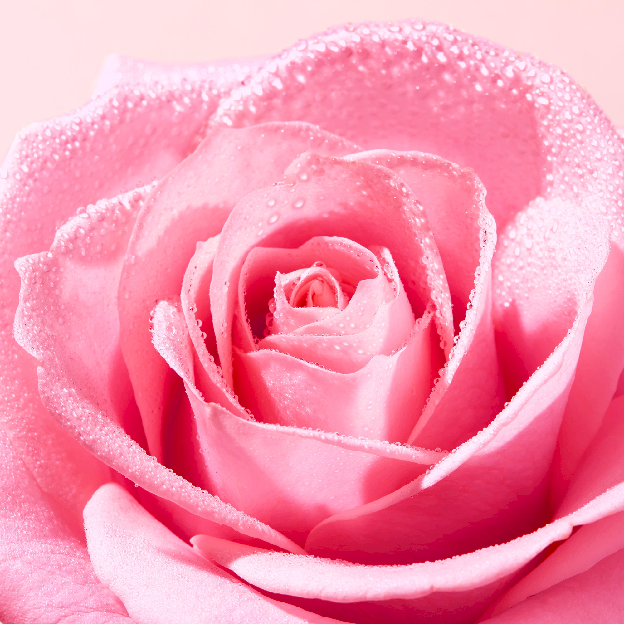 Nuxe Very Rose, zestaw łagodząca woda micelarna 3w1, 2 x 400 ml