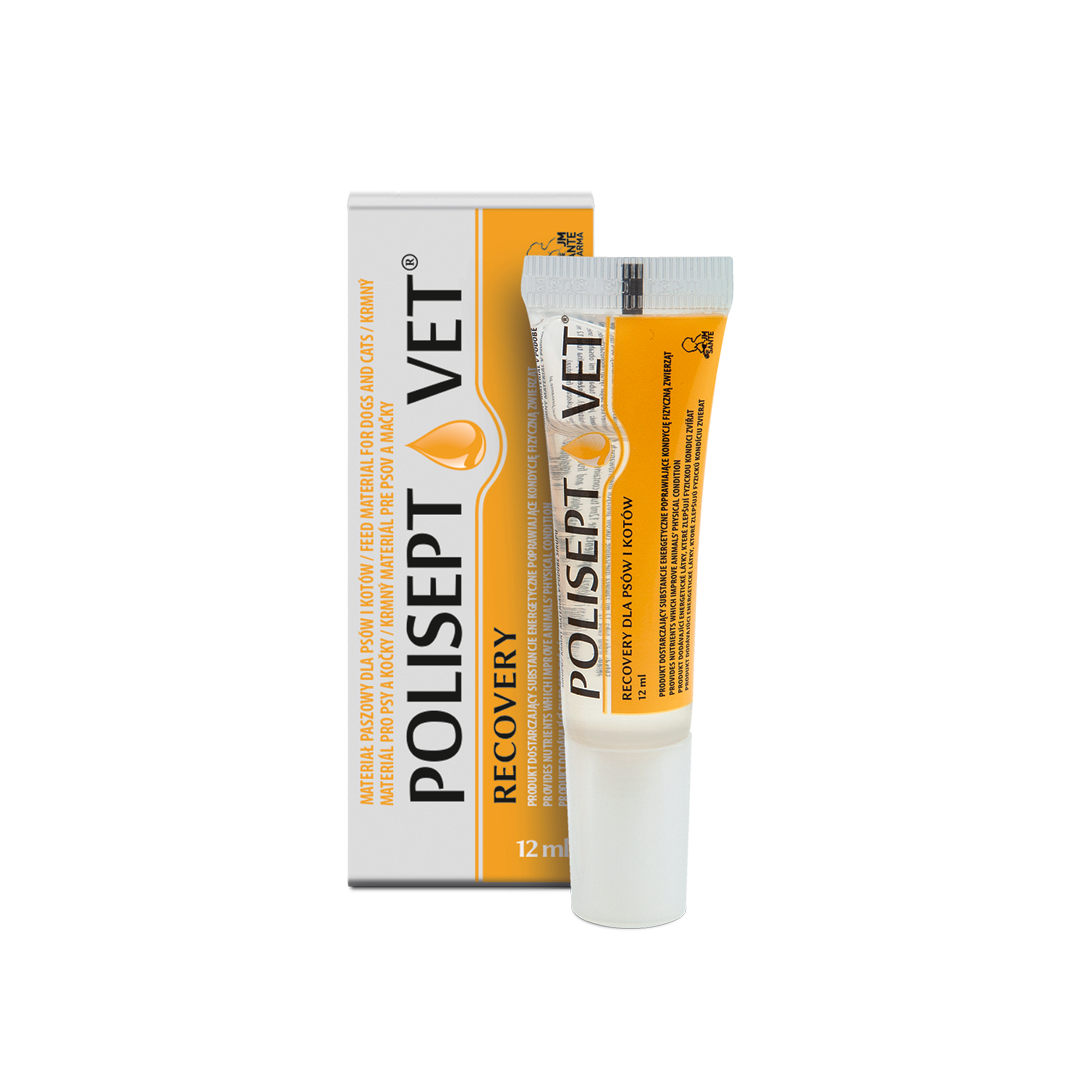 Polisept Vet Recovery Preparat energetyczny dla psa i kota, 12 ml zdjęcie