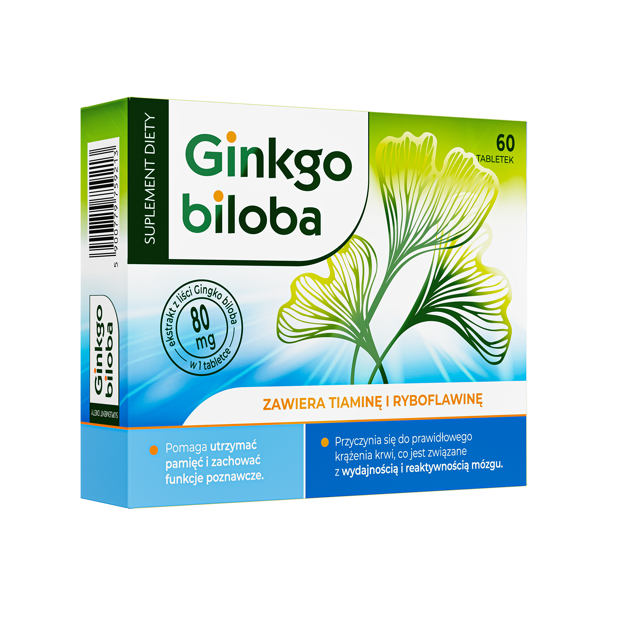 Ginkgo Biloba 60, tabletek