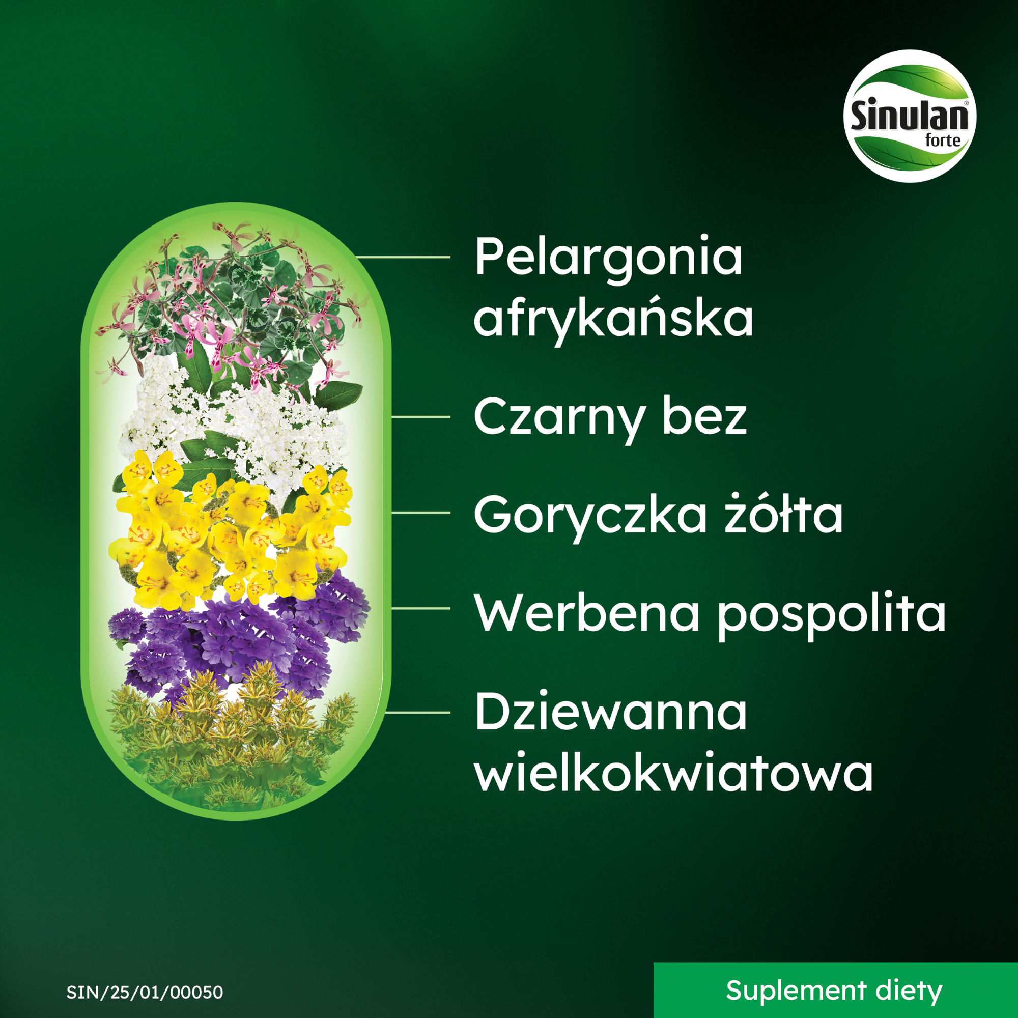 Sinulan Forte 60 tabletek