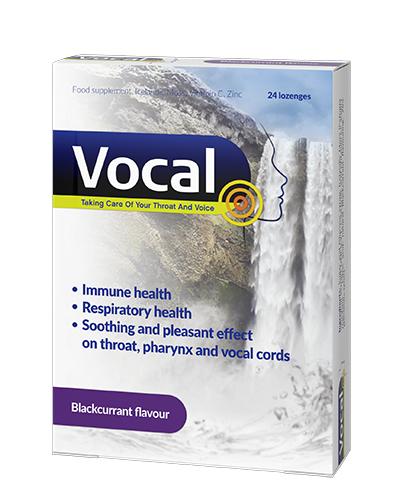Vocal o smaku czarnej porzeczki, 24 pastylki twarde zdjęcie