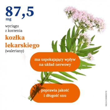 Persen Forte 40 kapsułek