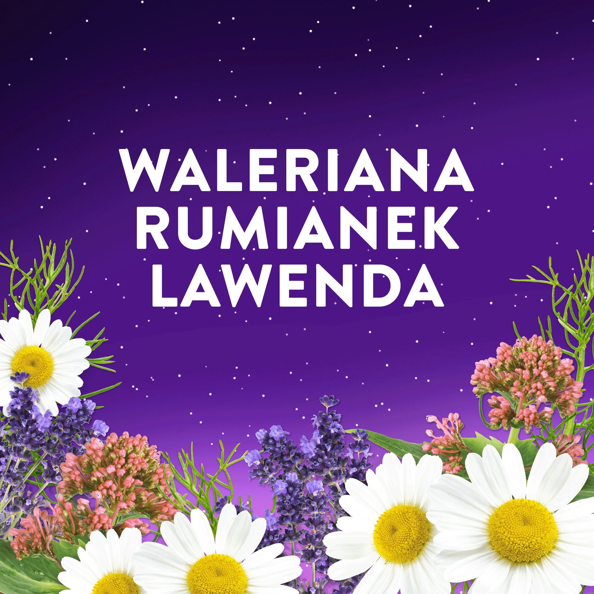 Vicks, ZzzQuil Natura o smaku owoców leśnych, żelki, 60 sztuk