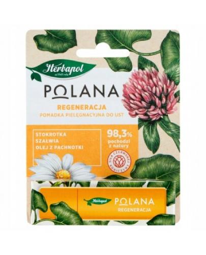 Herbapol Polana Pomadka pielęgnacyjna do ust REGENERACJA, 4.7 g zdjęcie