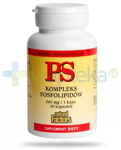 Ginseng PS Kompleks Fosfolipidów 30 kapsułek zdjęcie