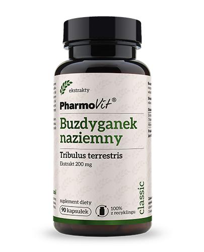PharmoVit Buzdyganek naziemny ekstrakt 200mg 90 kapsułek  zdjęcie
