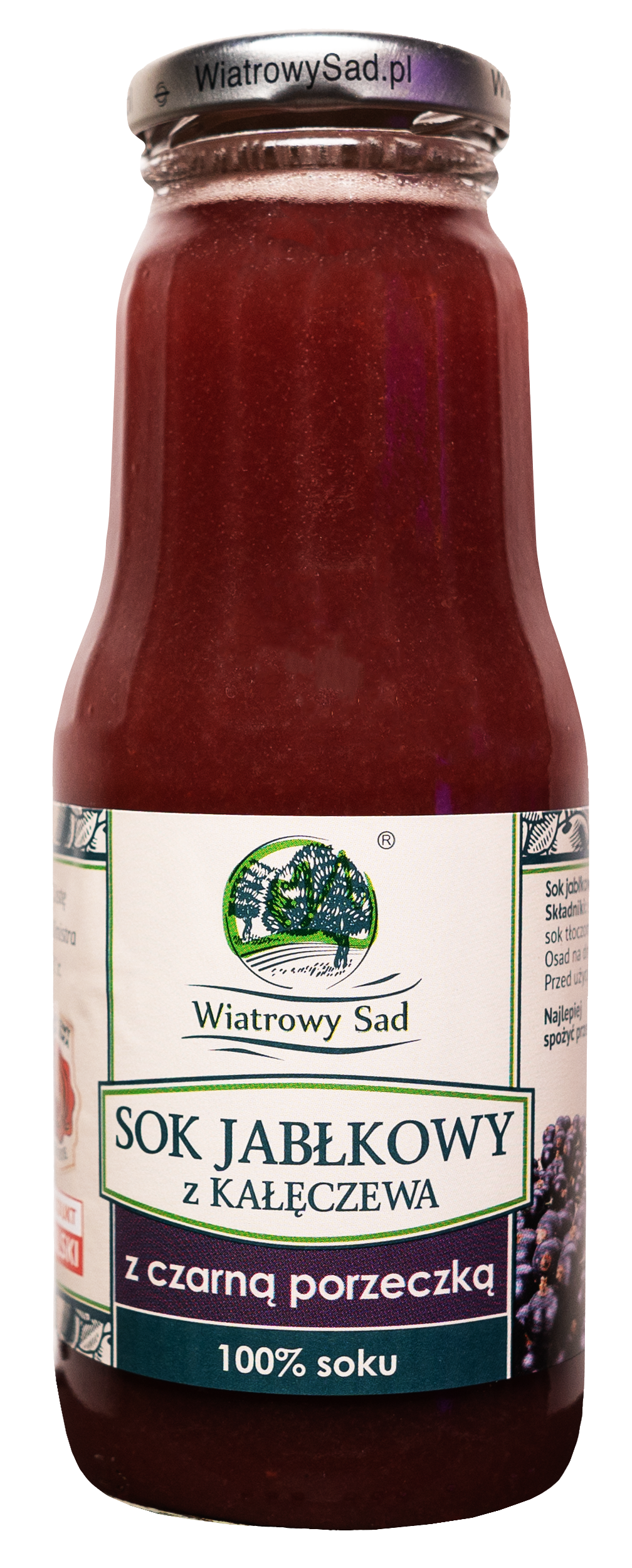 Wiatrowy Sad, Sok jabłkowy z czarną porzeczką, 300 ml zdjęcie